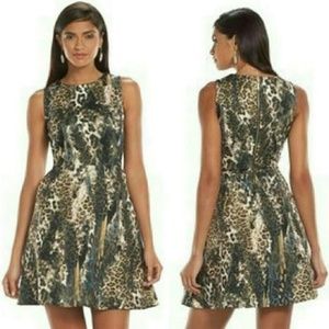 NWOT Printed Jennifer Lopez Dress